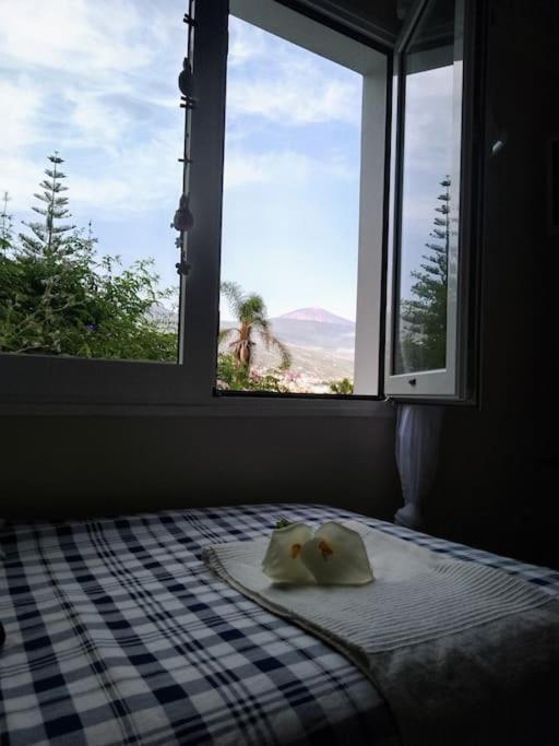 Apartamento Humboldt ,Island Paradise La Orotava Exterior foto
